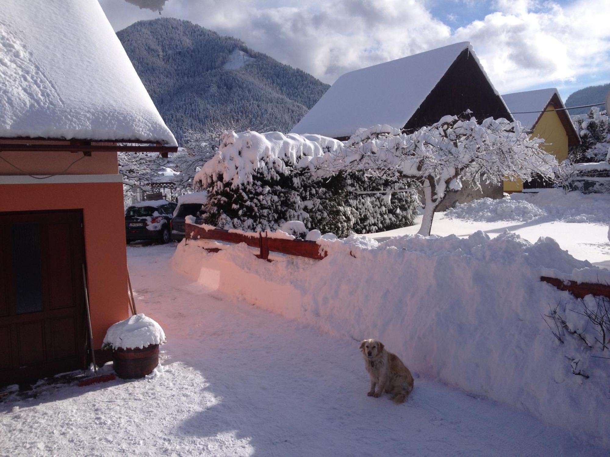 Agami T Villa Pavčina Lehota Exteriör bild